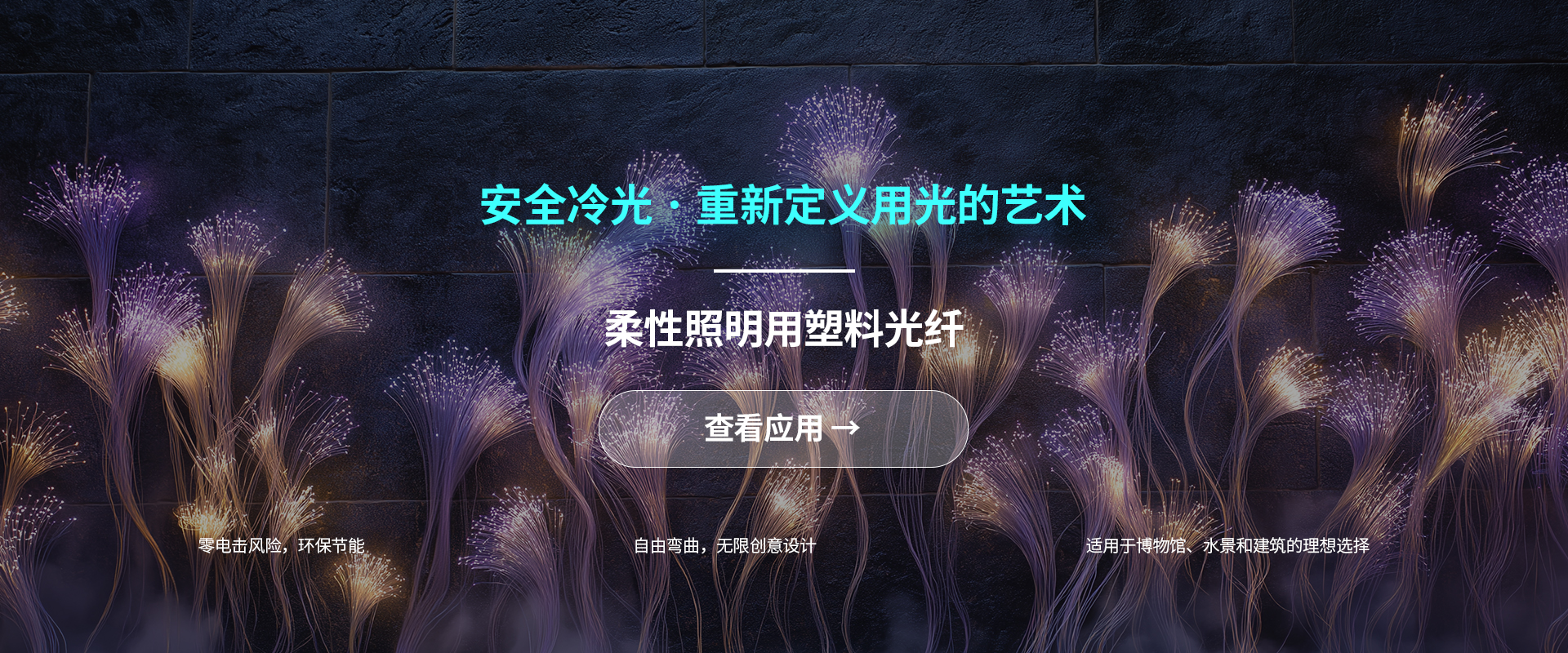 大圣塑料光纤首页宣传Banner图1